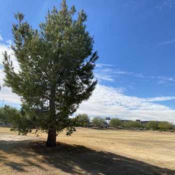 Siegfried & Roy Park - Parks Near Me - Las Vegas, Nevada