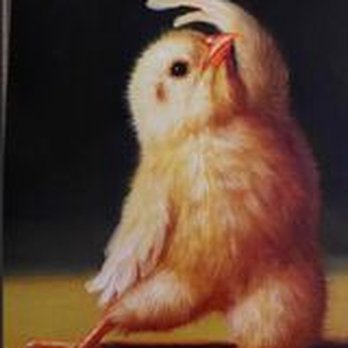 Country Feed Store - Yoga chick - Pet Stores Near Me - Vista, California
