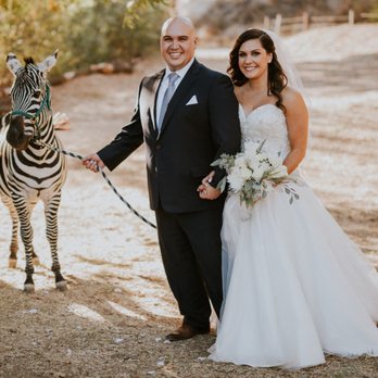 Reptacular Animals - Photography by Alyssa Armstrong - Party & Event Planning Near Me - Sun Valley, California