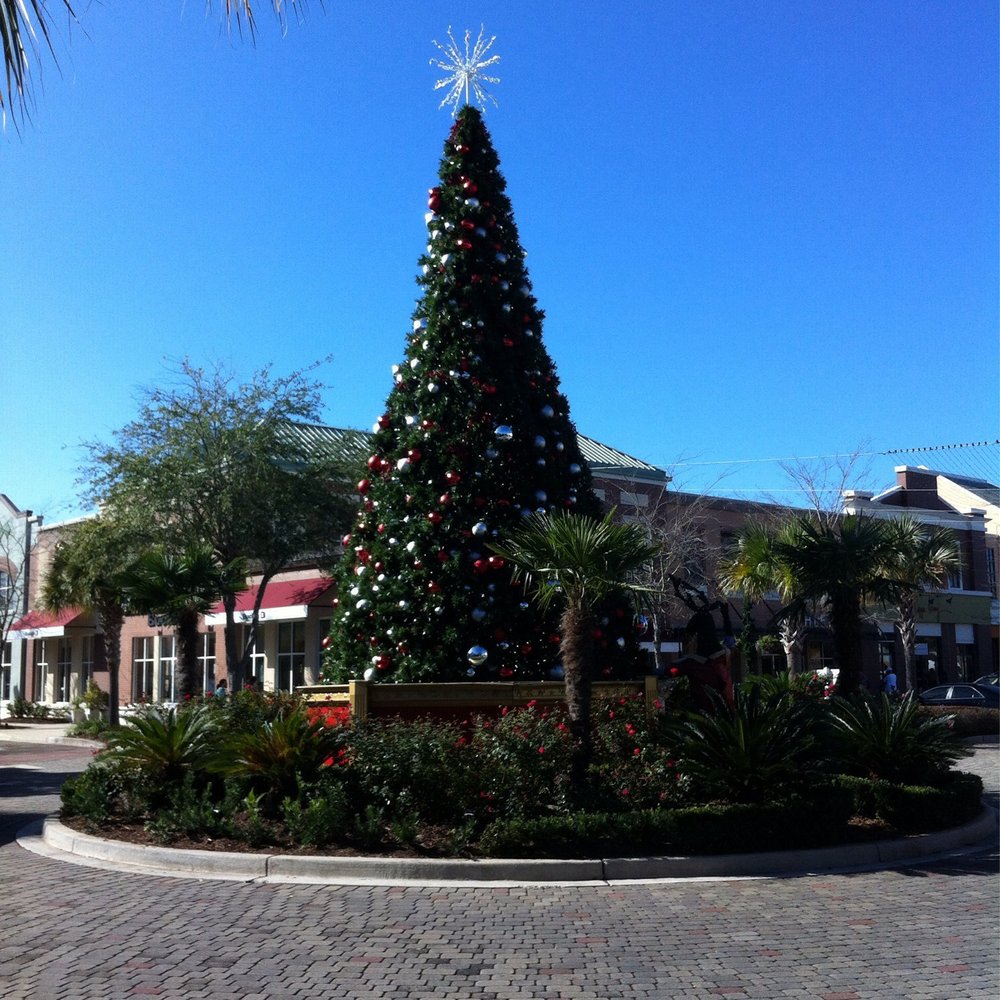 The Christmas tree in front of Belk