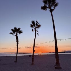 Monty’s Dog Beach & Bar - Sunset