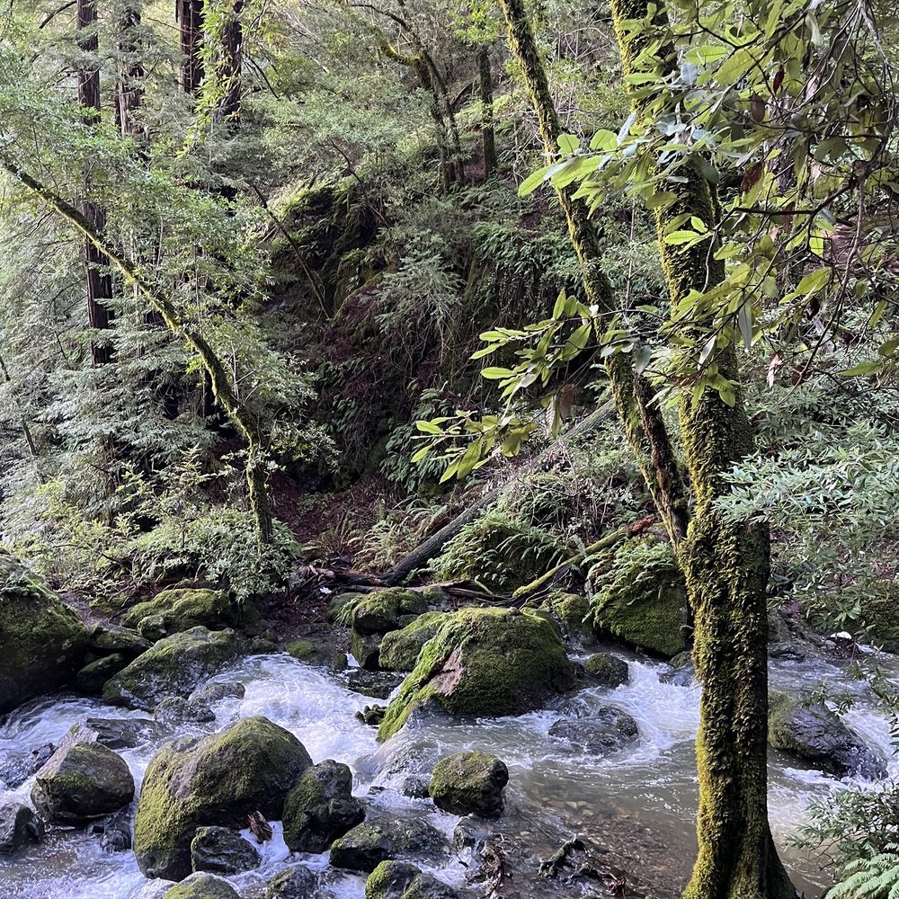Cataract Falls Trail - Fun hike - Hiking Near Me Cataract Falls Trail - Fun hike - Hiking Near Me