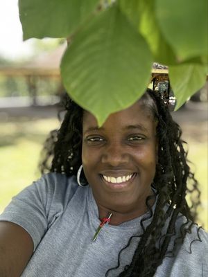 Druid Hill Park by null