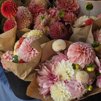 Blue Ridge Flower Exchange - Close-up of some of the bouquets of fresh, local flowers - Florists Near Me - Roanoke, Virginia Blue Ridge Flower Exchange - Close-up of some of the bouquets of fresh, local flowers - Florists Near Me - Roanoke, Virginia