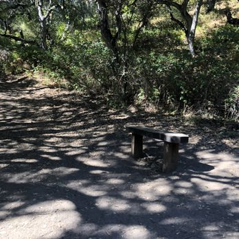 Garland Ranch Regional Park - Shade. - Hiking Near Me - Carmel Valley, California Garland Ranch Regional Park - Shade. - Hiking Near Me - Carmel Valley, California