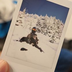 Snowbird