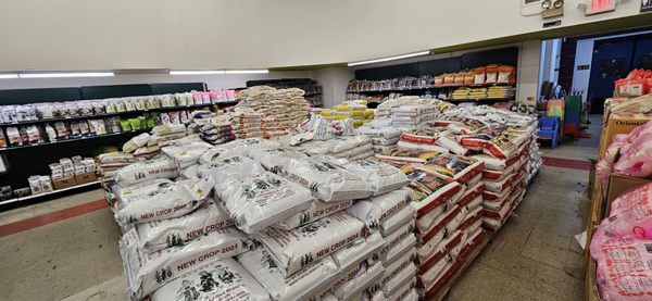 K&S World Market by null