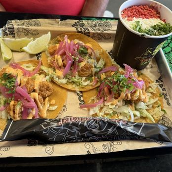 Talkin' Tacos Lake Nona - Bang bang, Bang Bang Shrimp Tacos with Street Corn in a Cup - Tacos Near Me - Orlando, Florida Talkin' Tacos Lake Nona - Bang bang, Bang Bang Shrimp Tacos with Street Corn in a Cup - Tacos Near Me - Orlando, Florida