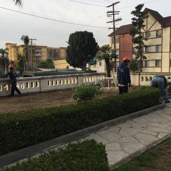 JJK Tree Trimming - Tree Services Near Me JJK Tree Trimming - Tree Services Near Me