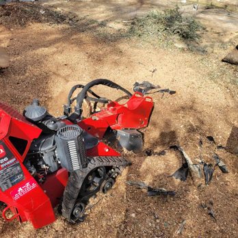 Steel Roots Tree Services - Tree Services Near Me Steel Roots Tree Services - Tree Services Near Me