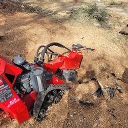 Steel Roots Tree Services