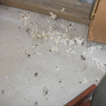 Normal Self Storage - unit floor - Self Storage Near Me - Normal, Illinois