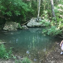 Strawberry Creek Nature Area