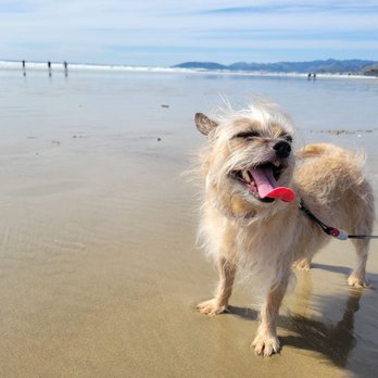 North Beach Campground - Fun times at the beach. - Campgrounds Near Me - Pismo Beach Ca, California