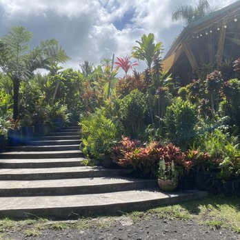 Dynamic Tour Maui - Bus Tours Near Me - Wailuku, Hawaii