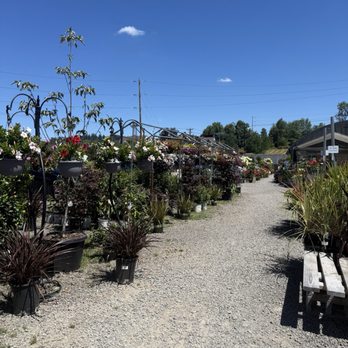 Stafford Ridge Nursery - Grounds - Nurseries & Gardening Near Me - West Linn, Oregon Stafford Ridge Nursery - Grounds - Nurseries & Gardening Near Me - West Linn, Oregon