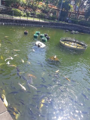 Taipei Confucius Temple by null