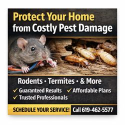 D & S Termite & Pest Control - Protect your home from costly pest damage
Rodents chew wires. Termites destroy structures.
Don't wait until you see damage.
 Call today!