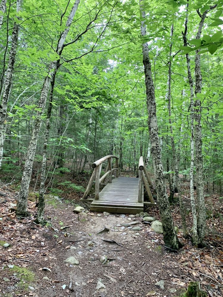 Great Pond Mountain Wildlands Logo