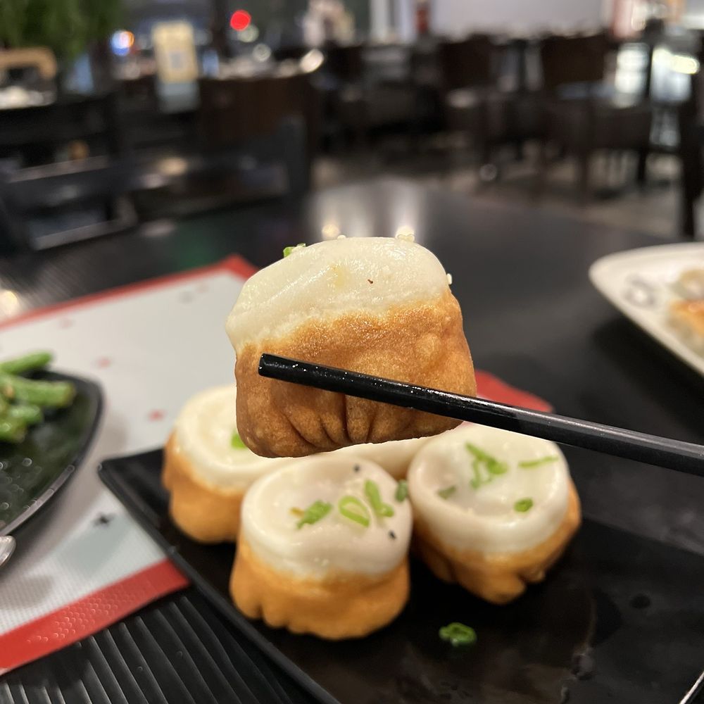Dumpling Zone - 1. Shanghai Pan Fried Pork Bao - Dim Sum Near Me - San Francisco, California Dumpling Zone - 1. Shanghai Pan Fried Pork Bao - Dim Sum Near Me - San Francisco, California
