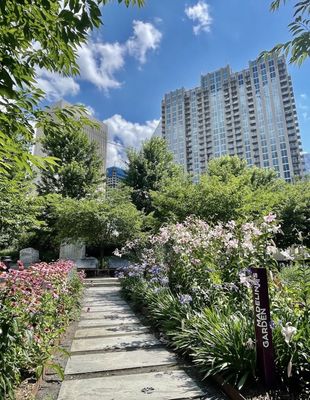 Romare Bearden Park by null