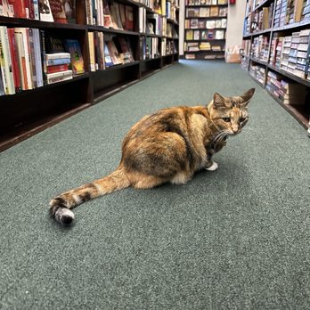 Dave's Olde Book Shop - Agatha - Bookstores Near Me - Redondo Beach, California Dave's Olde Book Shop - Agatha - Bookstores Near Me - Redondo Beach, California