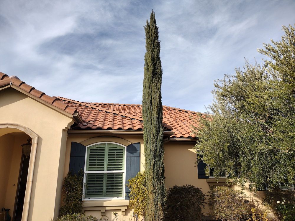 Slide of Salomon’s Roofing