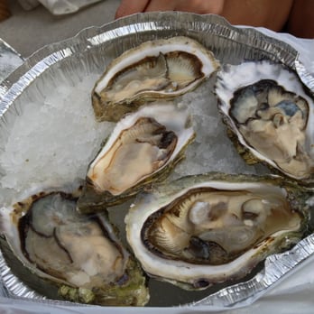 The Daily Catch - Tray of oysters on ice~ - Seafood Markets Near Me - Vancouver, British Columbia The Daily Catch - Tray of oysters on ice~ - Seafood Markets Near Me - Vancouver, British Columbia
