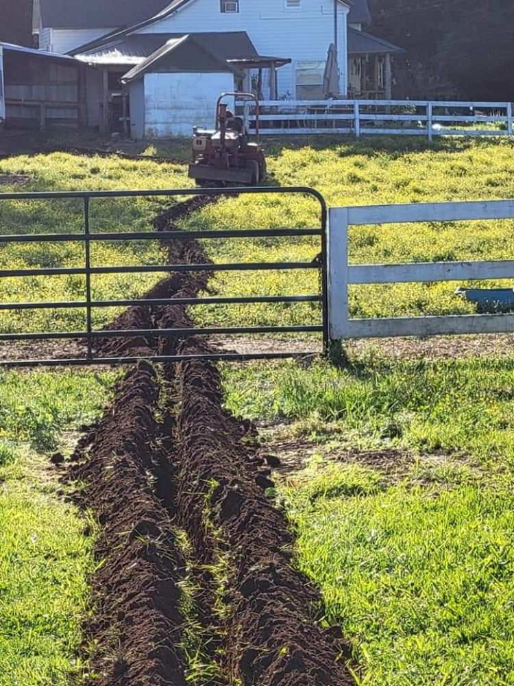 Slide of Family's Plumbing