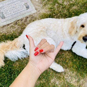 Calvary Cemetery - Visiting our loved ones. - Funeral Services & Cemeteries Near Me - Seattle, Washington