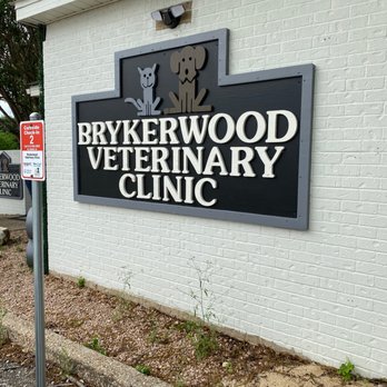 Brykerwood Veterinary Clinic - Puppy's vaccine time - Veterinarians Near Me - Austin, Texas Brykerwood Veterinary Clinic - Puppy's vaccine time - Veterinarians Near Me - Austin, Texas