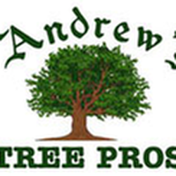 Andrew's Tree Pros - untitled