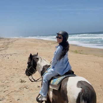 Monterey Bay Equestrian Center - Horseback Riding Near Me - Castroville, California Monterey Bay Equestrian Center - Horseback Riding Near Me - Castroville, California