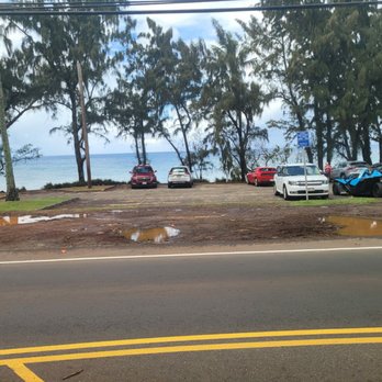 The Surf Bus - Tours Near Me - Honolulu, Hawaii