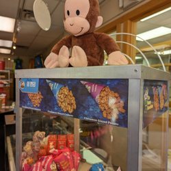 Popcorn Monkey - Cute monkey!