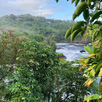 Holoholo Adventure Tours - Tours Near Me Holoholo Adventure Tours - Tours Near Me