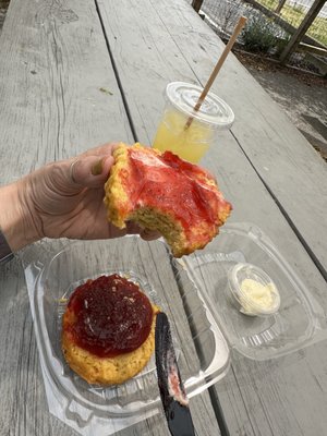 Handsome Biscuit by null