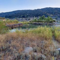Lake Morena County Park - The Lake