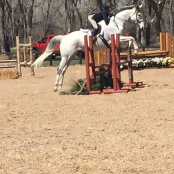 Capall Glen - Horseback Riding Near Me - Golden, Colorado
