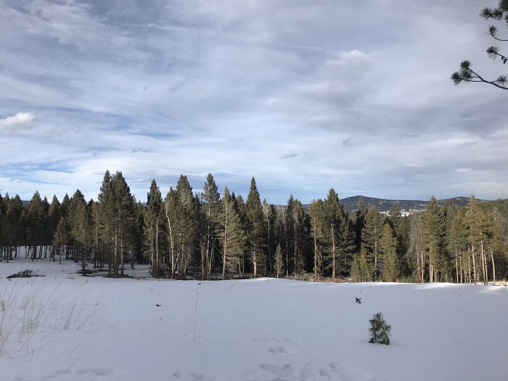 FLYING J RANCH PARK - Updated January 2025 - 14 Photos - 9509 Hwy 73