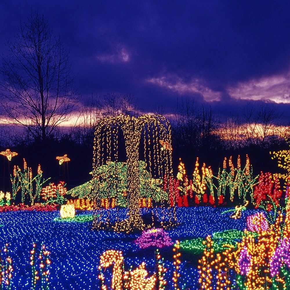 TOP 10 BEST Santa Pictures in Bellevue, WA - Updated 2026 - Yelp, image size:1000x1000