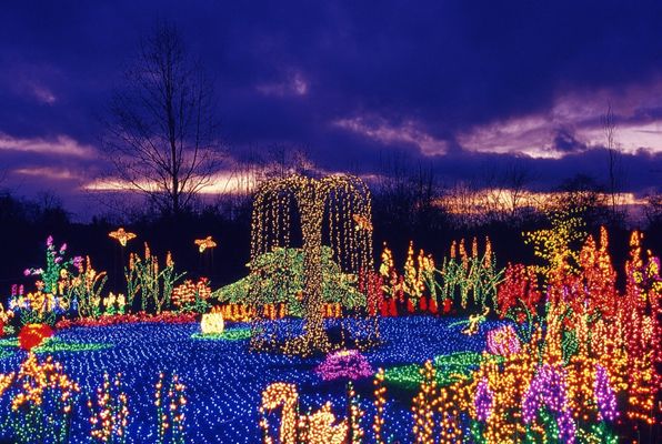 Garden d’Lights by null