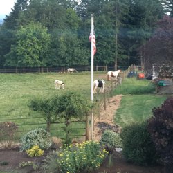 Roosters Coop Inn - Horsies!