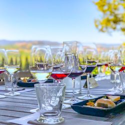 Copain Wines - Seated tasting with food pairing at Copain Wines.