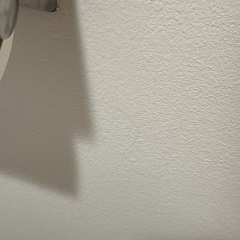 Adventureland Inn - Hair on wall - Hotels Near Me - Altoona, Iowa Adventureland Inn - Hair on wall - Hotels Near Me - Altoona, Iowa