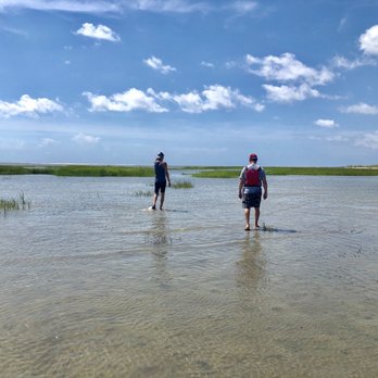 Sea Kayak Georgia - Hunting for stingrays and other sea creatures.  We spotted 2 stingrays. - Rafting/Kayaking Near Me - Tybee Island, Georgia