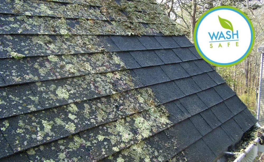 Slide of Gorman Coatings