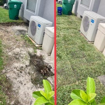 Monarch Landscaping - Before and after of a sod job we completed in Winter Garden... - Landscaping Near Me