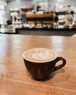 Bad Owl Coffee Roasters - Downtown by null