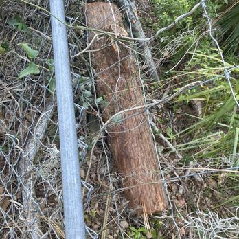 OI Solutions - Tree Services Near Me OI Solutions - Tree Services Near Me